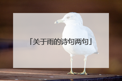 关于雨的诗句两句