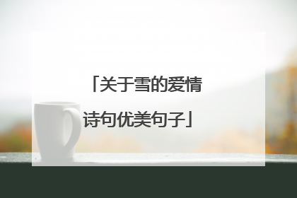 关于雪的爱情诗句优美句子