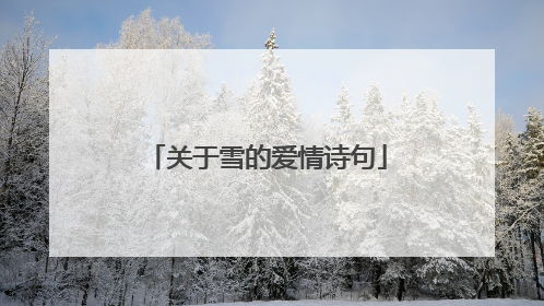 关于雪的爱情诗句