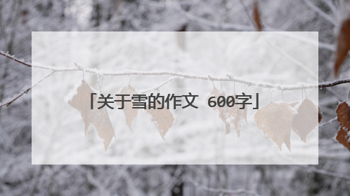 关于雪的作文 600字