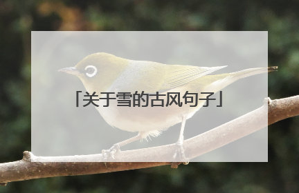 关于雪的古风句子