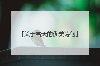 关于雪天的优美诗句