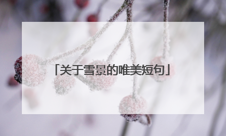 关于雪景的唯美短句