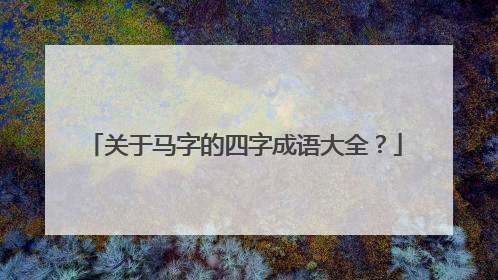 关于马字的四字成语大全？