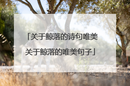 关于鲸落的诗句唯美 关于鲸落的唯美句子