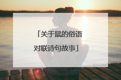 关于鼠的俗语对联诗句故事