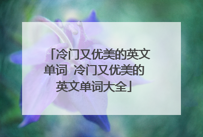 冷门又优美的英文单词 冷门又优美的英文单词大全