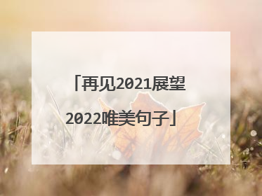 再见2021展望2022唯美句子
