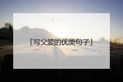 写父爱的优美句子
