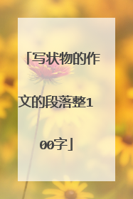 写状物的作文的段落整100字