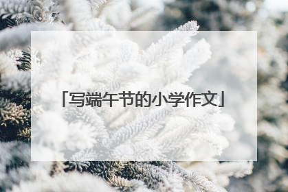 写端午节的小学作文