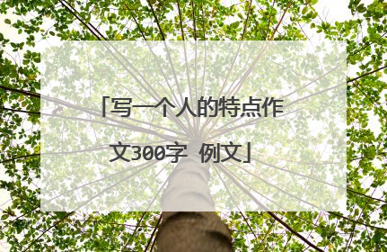 写一个人的特点作文300字 例文