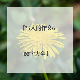 写人的作文600字大全