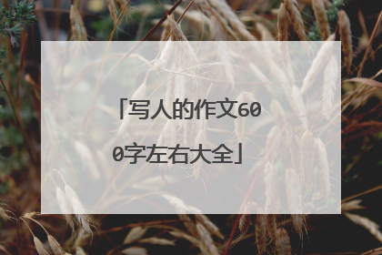 写人的作文600字左右大全