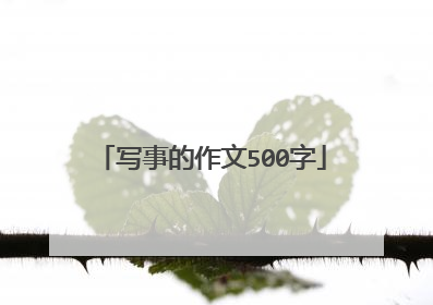 写事的作文500字