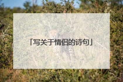 写关于情侣的诗句