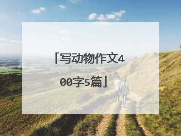 写动物作文400字5篇