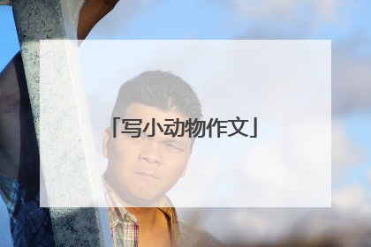 写小动物作文