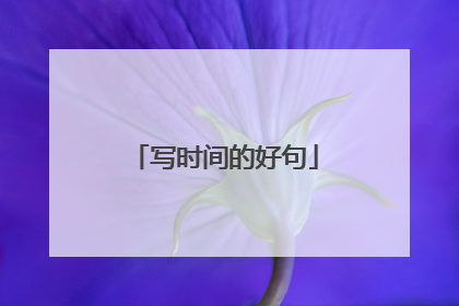 写时间的好句