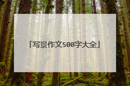 写景作文500字大全