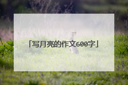 写月亮的作文600字