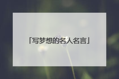 写梦想的名人名言