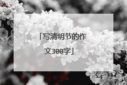 写清明节的作文300字