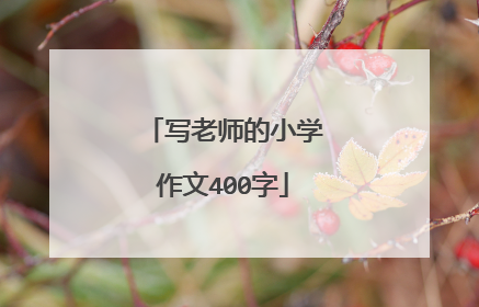 写老师的小学作文400字