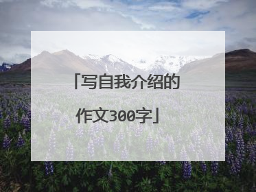 写自我介绍的作文300字