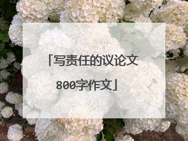 写责任的议论文800字作文