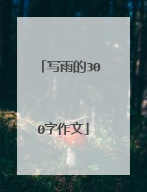 写雨的300字作文