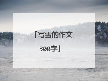 写雪的作文300字