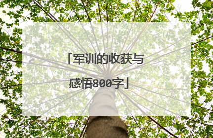 军训的收获与感悟800字