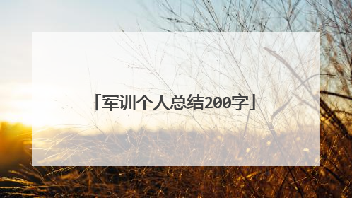 军训个人总结200字