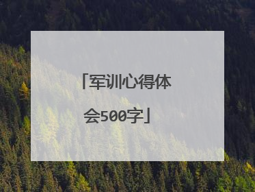 军训心得体会500字