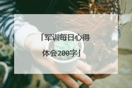 军训每日心得体会200字