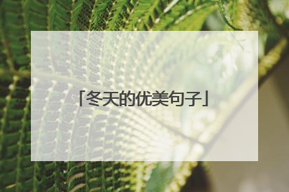 冬天的优美句子