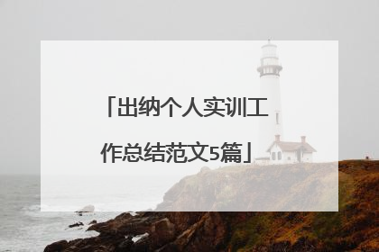 出纳个人实训工作总结范文5篇