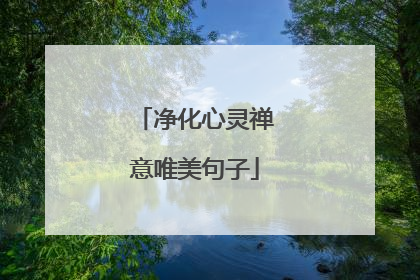 净化心灵禅意唯美句子