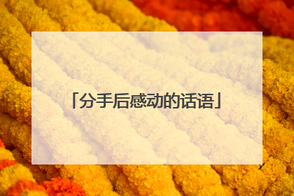 分手后感动的话语