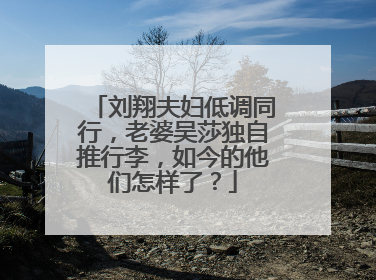 刘翔夫妇低调同行,老婆吴莎独自推行李,如今的他们怎样了?