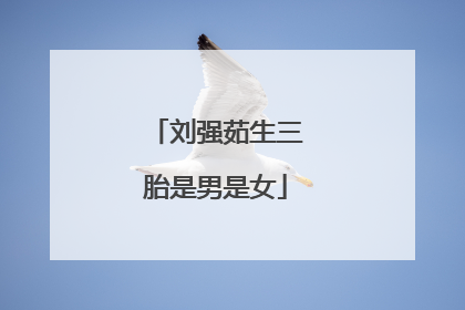 刘强茹生三胎是男是女