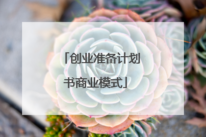 创业准备计划书商业模式