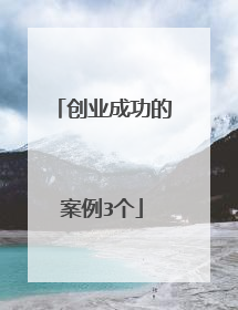 创业成功的案例3个