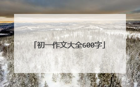 初一作文大全600字