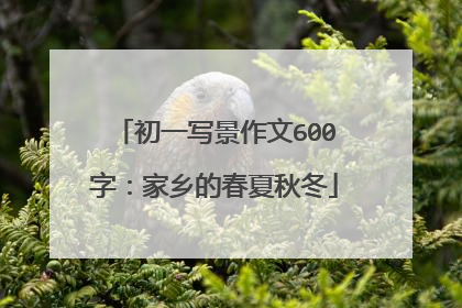 初一写景作文600字：家乡的春夏秋冬
