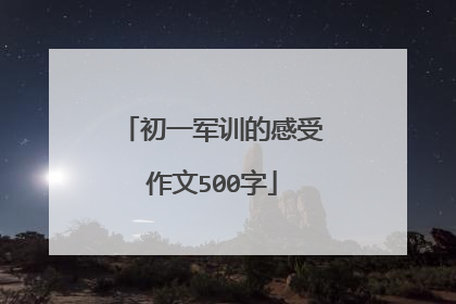 初一军训的感受作文500字