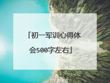 初一军训心得体会500字左右