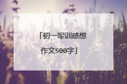 初一军训感想作文500字