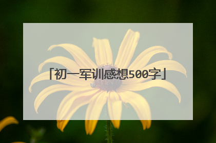 初一军训感想500字